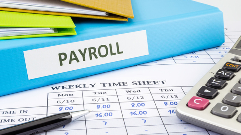 Online Payroll Software, Payroll Software, Payroll Software in Delhi, Payroll Software in India, Payroll Software Solution, Payroll Software System, Payroll Solution, Software Soultions in India