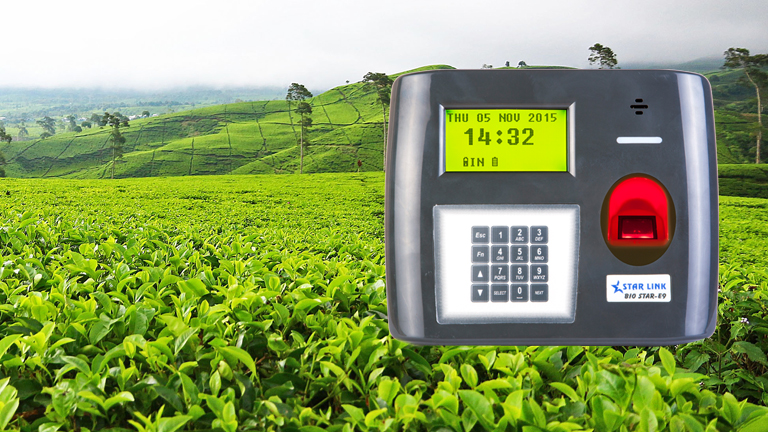 tea garden biometric solution, biometric in tea garden, tea garden solution, biometric, Biometric Access Control, biometric devices, biometric access machine