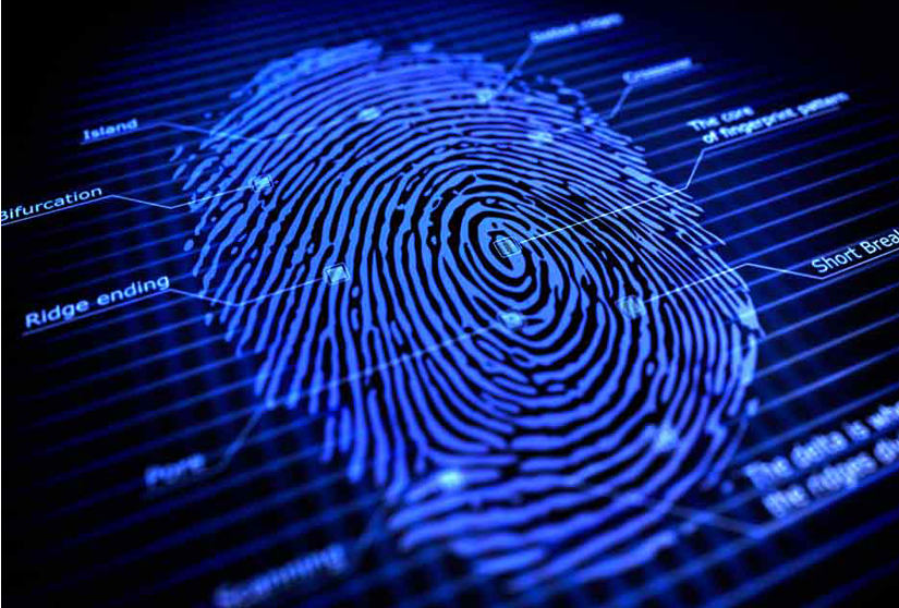 Fingerprint Scanner