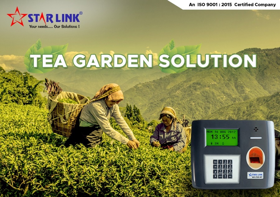 Tea Garden Solution