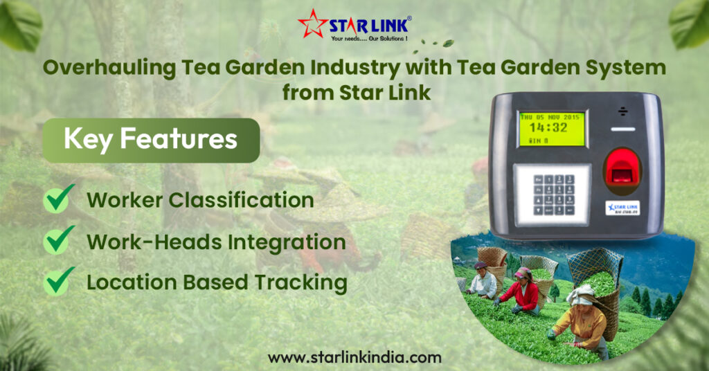 Tea Garden Solution