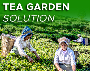 Tea Garden Solution is a combination of hardware and software which takes care of various activities in the tea garden.