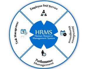 savvy hrms software